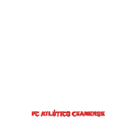 fc atletico cearense ari Sticker by arigooll