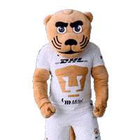 Dance Soccer Sticker by Pumas MX