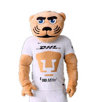 Soccer Sticker Sticker by Pumas MX