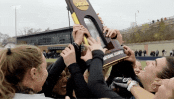 Field Hockey Ncaa GIF by Northwestern Athletics