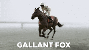 Horse Racing GIF by Kentucky Derby