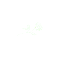 sorry i love you Sticker by Vacation Forever