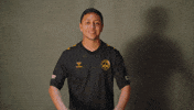 South Carolina Soccer GIF by Charleston Battery