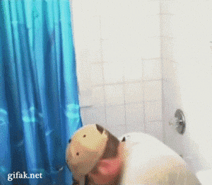 way help GIF