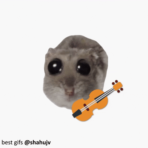 Hamster Meme GIF