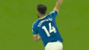 Celebrate Andros Townsend GIF by Everton Football Club
