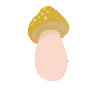 Art Illustration Sticker