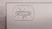 Cricket Winning GIF by Woodblock