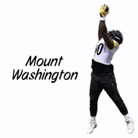 Pittsburgh Steelers GIF