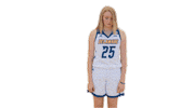 Basketball Bluehens Sticker by Delaware Blue Hens