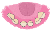 Teeth Dentist Sticker
