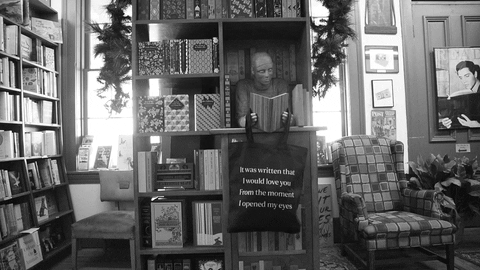 katekimberlin giphyupload GIF