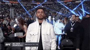 Mixed Martial Arts Sport GIF by UFC