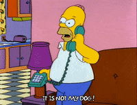 Season 2 GIF by The Simpsons