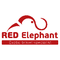 diontours-redelephant transparency travelagency redelephant travelagencygreece Sticker