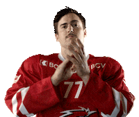 Lhc Lausannehc Sticker by Lausanne Hockey Club