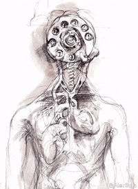 Animation Artist GIF by Alex Boya