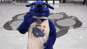Oshawa GIF by Ontario Tech Ridgebacks