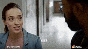 Excuse Me What GIF by One Chicago