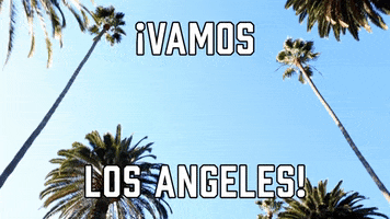 Los Angeles Football GIF by Sealed With A GIF