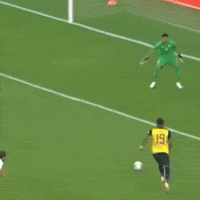 elcanaldelfutbol f ecuador tri ecu GIF