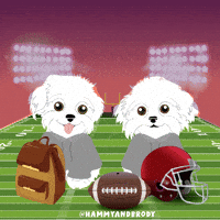 American Football GIF by HammyandBrody