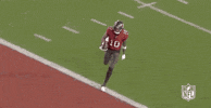 Tampa Bay Buccaneers Football GIF by NFL
