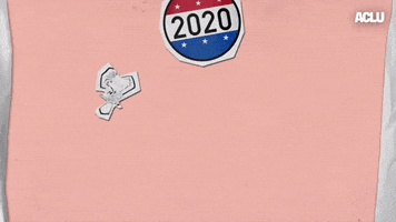 Voting Election 2020 GIF by ACLU