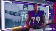 Football Sport GIF by Baltimore Ravens