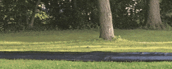 slip n slide lol GIF by America's Funniest Home Videos
