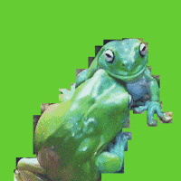 GIF by Lorna Mills