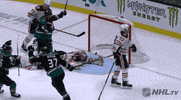 celebrate ice hockey GIF by NHL
