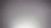 toddypromo toddypromo toddygear GIF