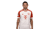 Loving I Love You Sticker by Bundesliga
