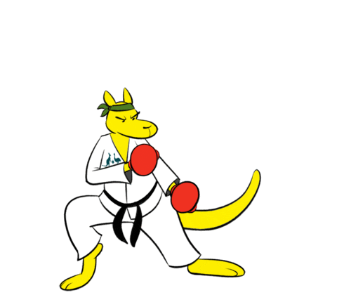 Summer Olympics Karate Sticker by AUSOlympicTeam