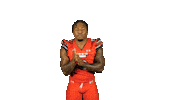 Utah Utes Sticker by Utah Football