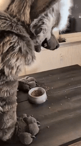 EspressoYeen giphyupload furry fursuit hyena GIF