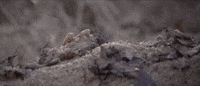 man in the wilderness GIF by Warner Archive