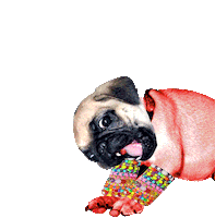 Dog Sticker by Stickers