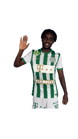 Fradi Tokmac Sticker by Ferencvárosi Torna Club