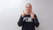 Cats Dogs GIF