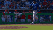 Blue Jays Good Job GIF by Toronto Blue Jays
