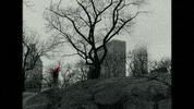 Winter Fall GIF by aldn