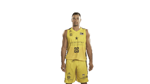 Vamos Liga Endesa Sticker by ACB