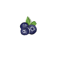 Fruit Blueberry Sticker