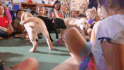 puppies love GIF by SoulPancake