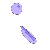 Animation Love Sticker