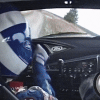 Car Crash Omg GIF by FIA World Rally Championship