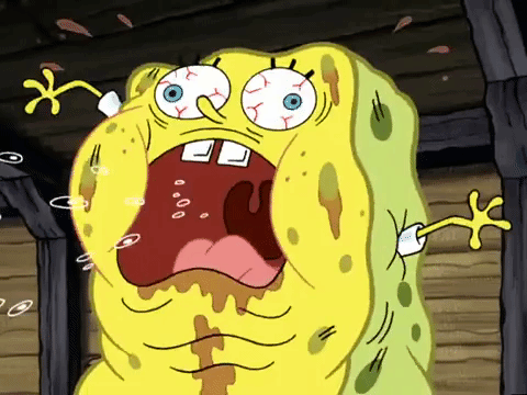 season 6 episode 10 GIF by SpongeBob SquarePants