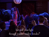 season 2 netflix GIF by Gilmore Girls 